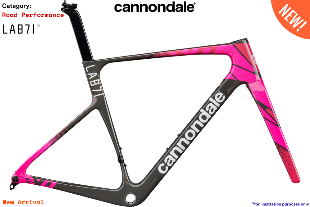Cannondale SuperSix Evo5 LAB71 - EFP - EF-Team Replica - Frame Kit